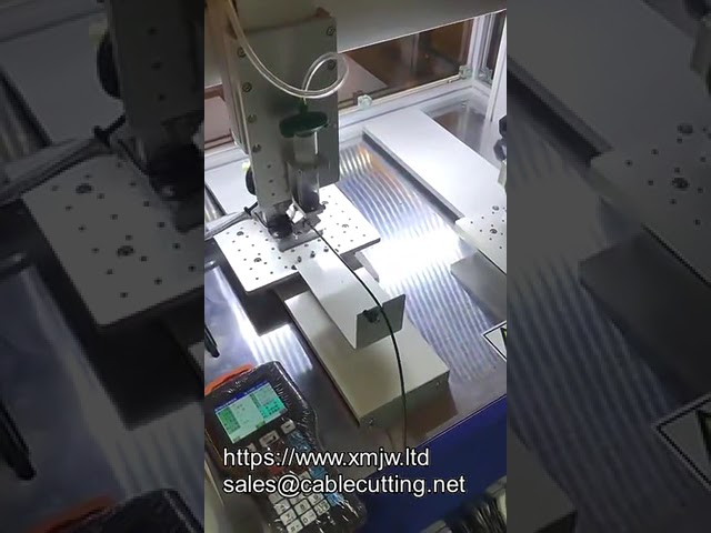 Ab Glue Dispensing Machine 3 Axis Or 4 Axis Desktop Machine Customized